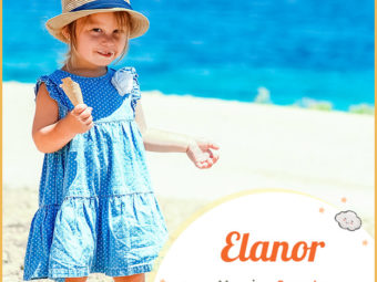Elanor means sun-star