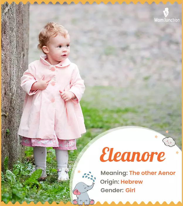 eleanore: Name Meaning, Origin, History, And Popularity ...