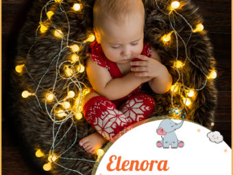 Elenora means light