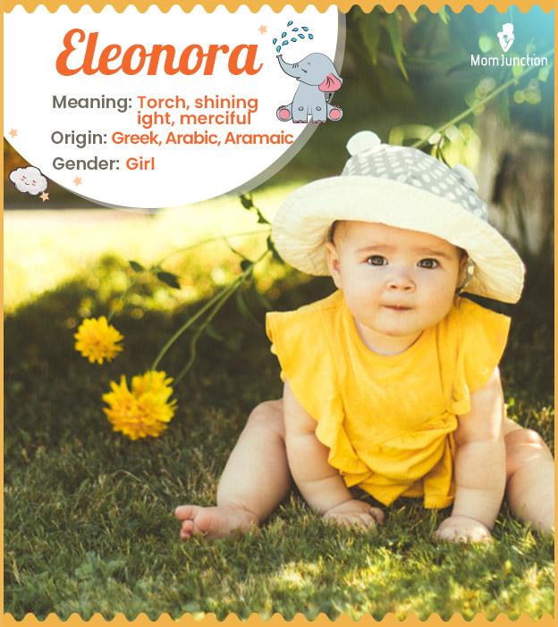 Eleonora Name, Meaning, Origin, History, And Popularity_image