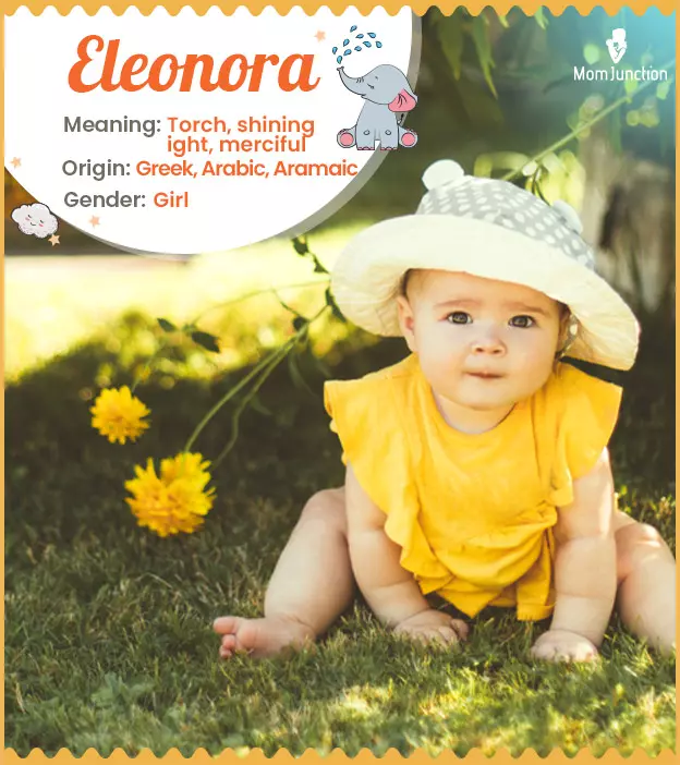 Eleanora means light