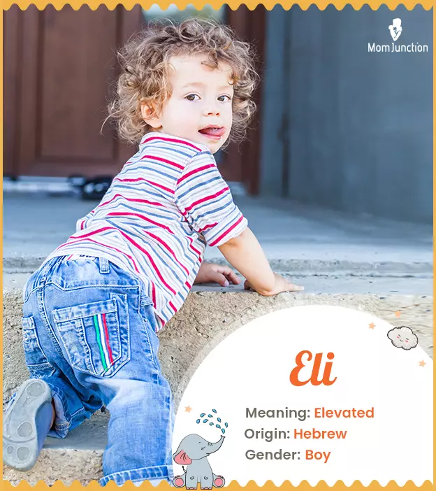 eli: Name Meaning, Origin, History, And Popularity_image