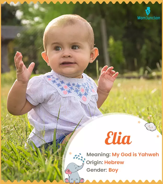 elia: Name Meaning, Origin, History, And Popularity | MomJunction