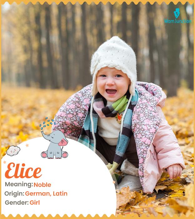 Elice Name Meaning, Origin, History, And Popularity_image