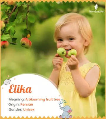 Explore Elika: Meaning, Origin & Popularity | MomJunction