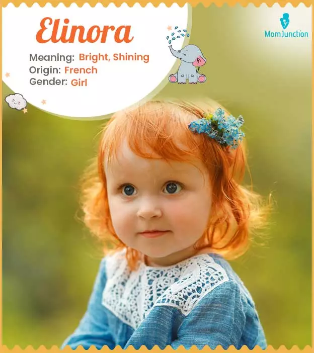 Explore Elinora: Meaning, Origin & Popularity | MomJunction