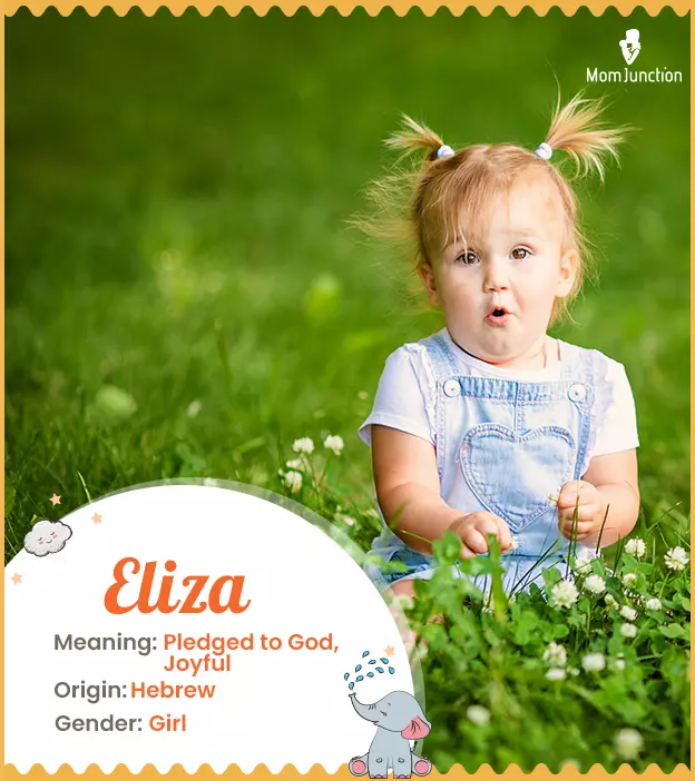 Eliza Name Meaning, Origin, History, And Popularity_image