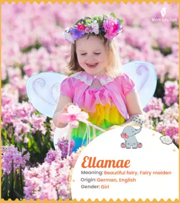 Explore Ellamae: Meaning, Origin & Popularity_image