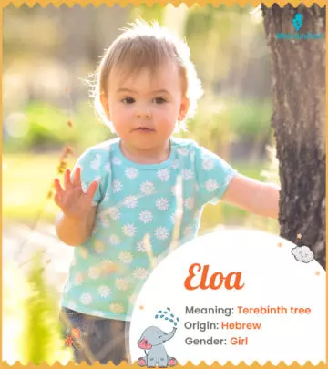 Eloa means terebinth tree