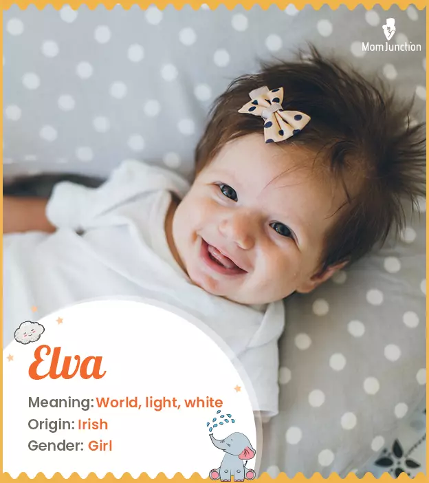 elva: Name Meaning, Origin, History, And Popularity_image