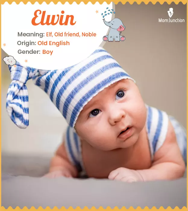 Elwin Name Meaning, Origin, History, And Popularity_image