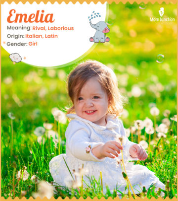 Emelia meaning Rival, Laborious