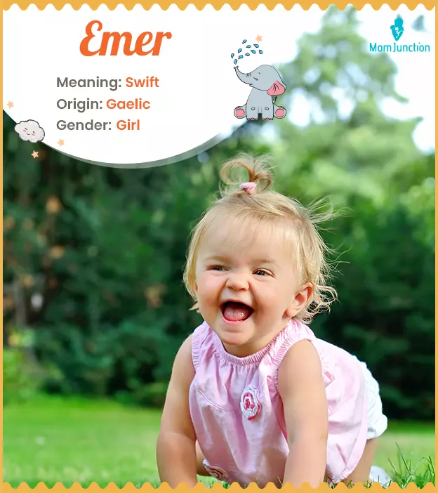 Emer: Name Meaning, Origin, History, And Popularity | MomJunction