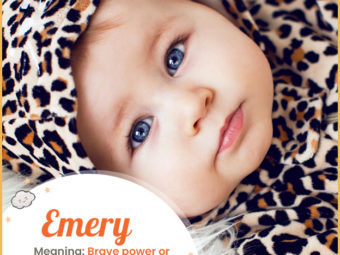 Emery, means brain power or powerful home.