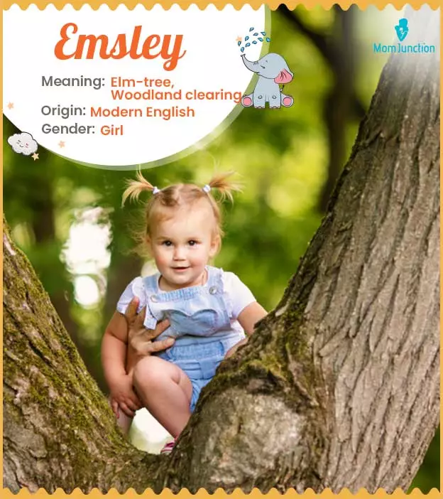 Explore Emsley: Meaning, Origin & Popularity_image