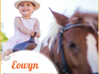Eowyn means horse joy