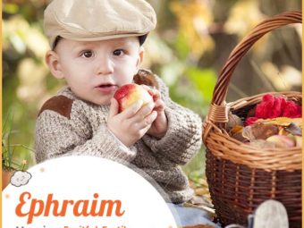 Ephraim meaning fruitful, fertile