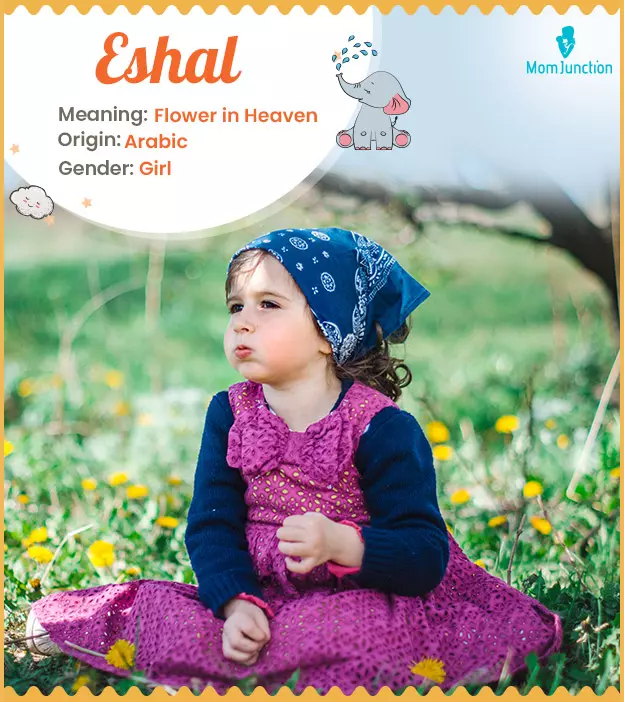 Eshal Name, Meaning, Origin, History, And Popularity | MomJunction