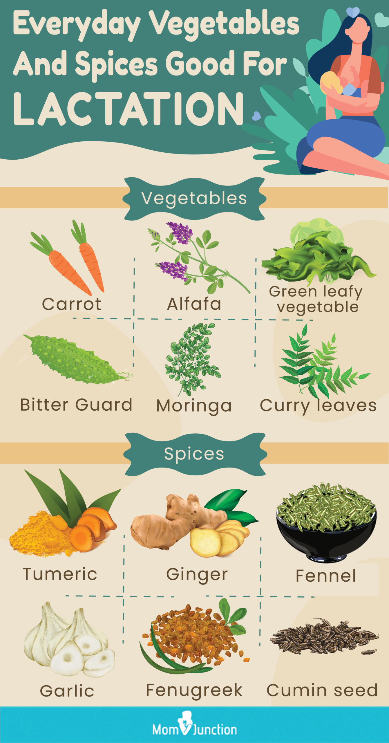 vegetables and spices good for lactation (infographic)