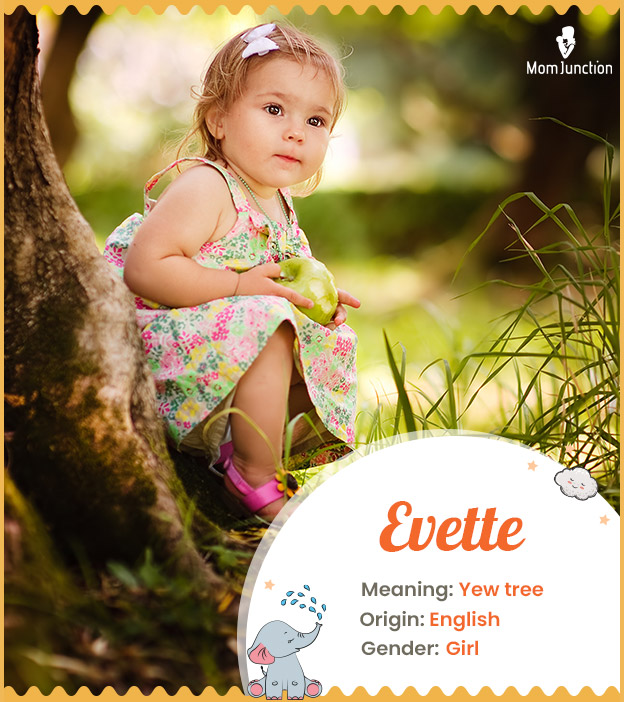Evette Name Meaning, Origin, History, And Popularity
