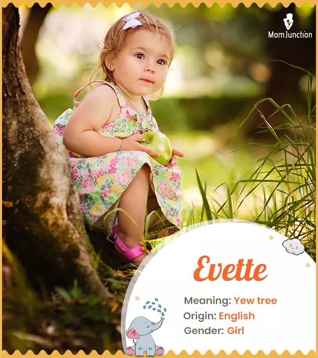 evette: Name Meaning, Origin, History, And Popularity | MomJunction