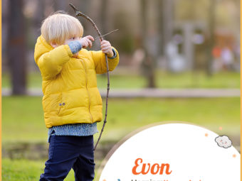 Evon, meaning Yew