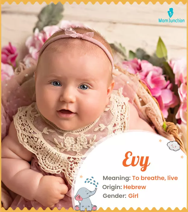 evy: Name Meaning, Origin, History, And Popularity | MomJunction