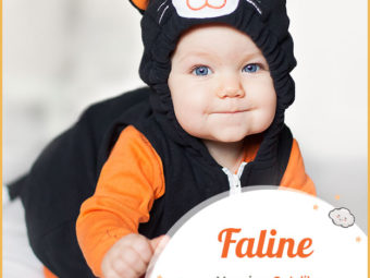 Faline, meaning cat-like