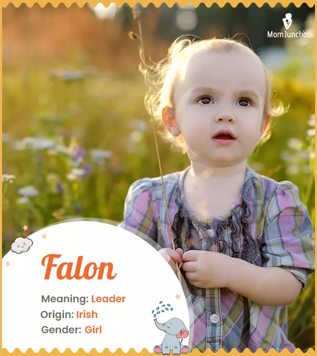 Explore Falon: Meaning, Origin & Popularity_image