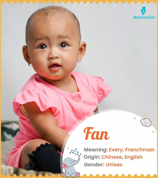 Explore Fan: Meaning, Origin & Popularity_image