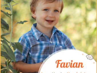 Favian, means understanding, man of wisdom, or brave man.