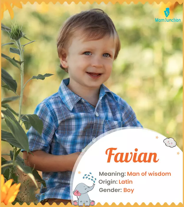 favian: Name Meaning, Origin, History, And Popularity_image