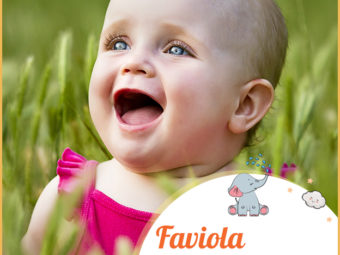 Faviola, a unique Spanish name for girls
