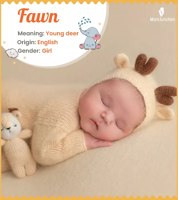 Fawn, an animal-insp