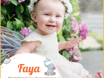 Faya means fairy