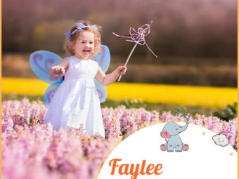 Faylee, she who is like a fairy