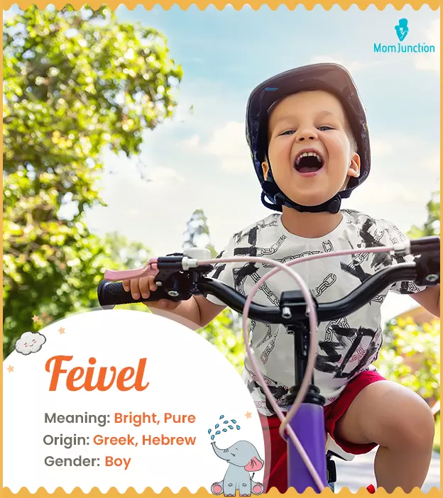 feivel: Name Meaning, Origin, History, And Popularity | MomJunction