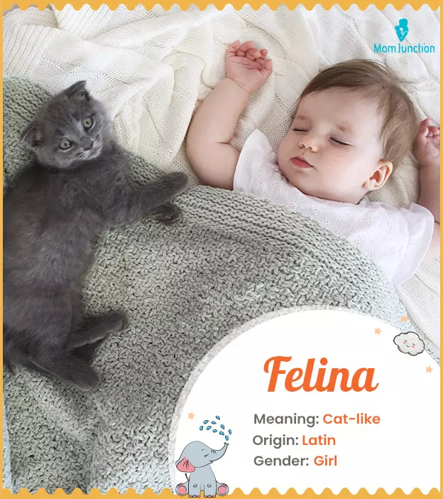 Felina, cat-like