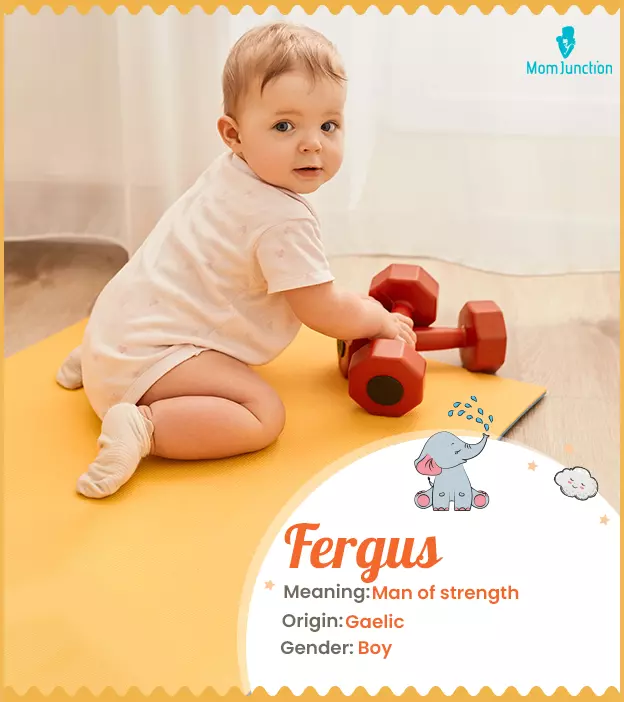 Fergus Name Meaning, Origin, History, And Popularity_image