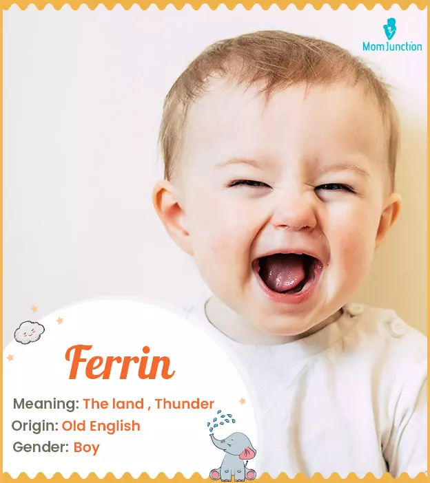 ferrin: Name Meaning, Origin, History, And Popularity | MomJunction