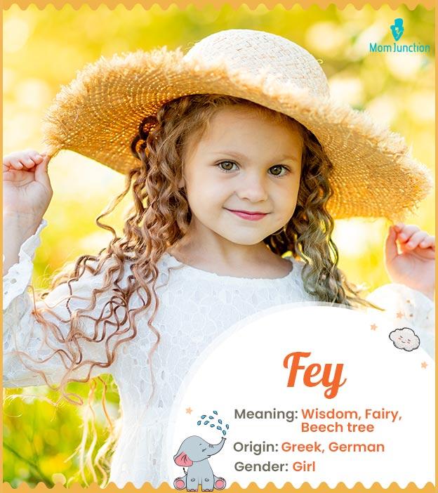 Explore Fey: Meaning, Origin & Popularity_image