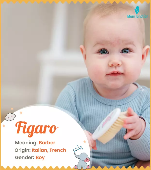 Figaro Name Meaning, Origin, History, And Popularity | MomJunction