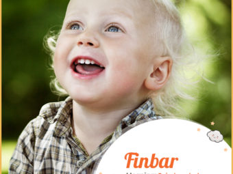 Finbar means fair-headed