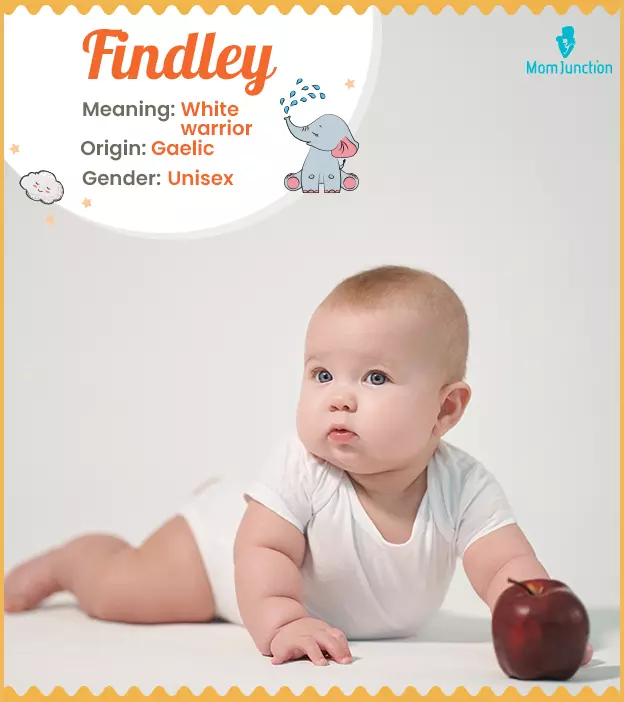 Findley Name Meaning, Origin, History, And Popularity_image