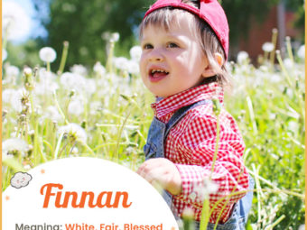 Finnan means white and blessed