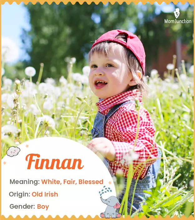 Explore Finnan: Meaning, Origin & Popularity | MomJunction