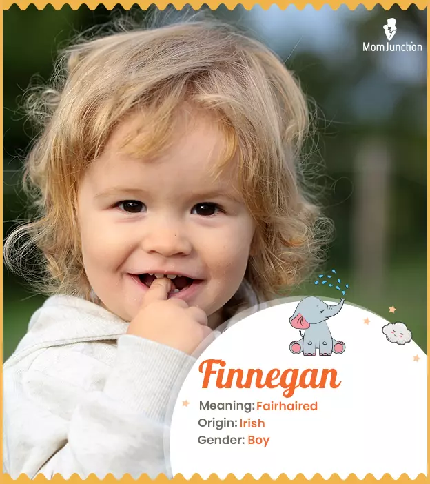 finnegan: Name Meaning, Origin, History, And Popularity_image