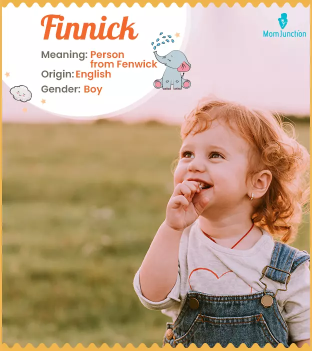 Finnick Meaning, Origin, History, And Popularity | MomJunction