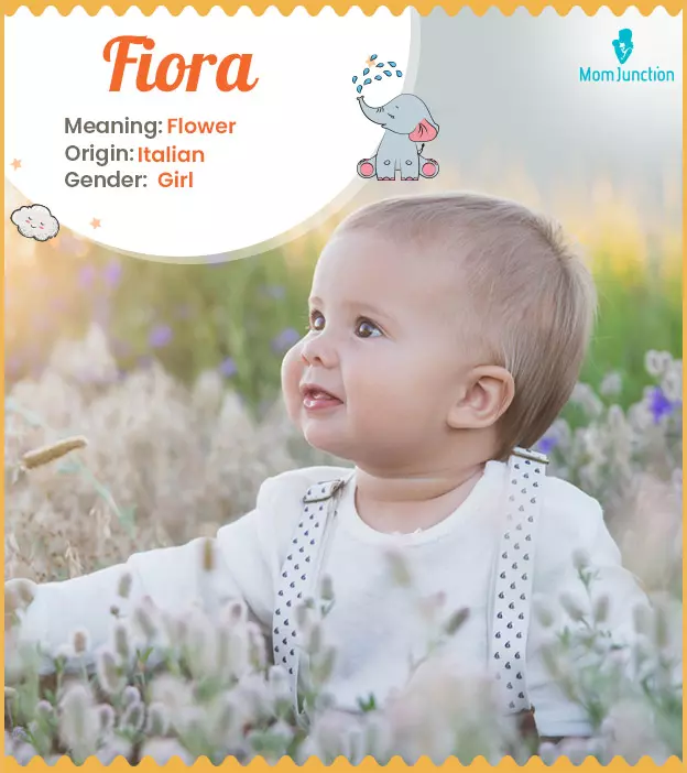 Explore Fiora: Meaning, Origin & Popularity | MomJunction