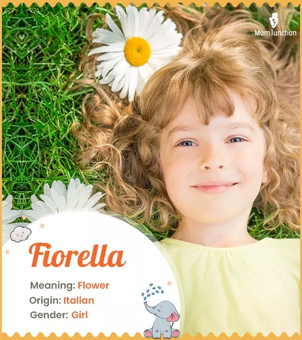 Fiorella: Name Meaning, Origin, History, And Popularity | MomJunction